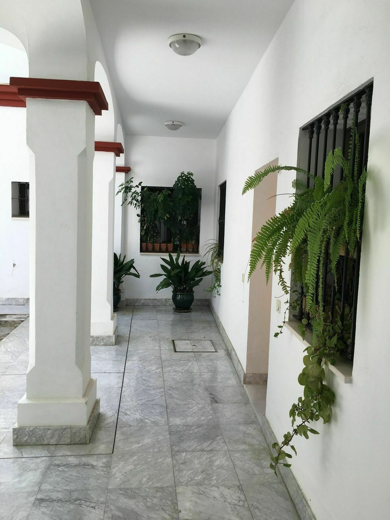 Teodosio Apartment Free Parking & Central Ac Sevilla Exteriör bild